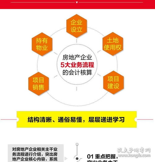 2020新版 房地產(chǎn)會(huì)計(jì)真賬實(shí)操全流程演練 第2版 建筑會(huì)計(jì)基礎(chǔ)操作實(shí)務(wù)實(shí)操大全 企業(yè)準(zhǔn)則公司房產(chǎn)會(huì)計(jì) 做賬財(cái)務(wù)賬務(wù)管理入門書籍